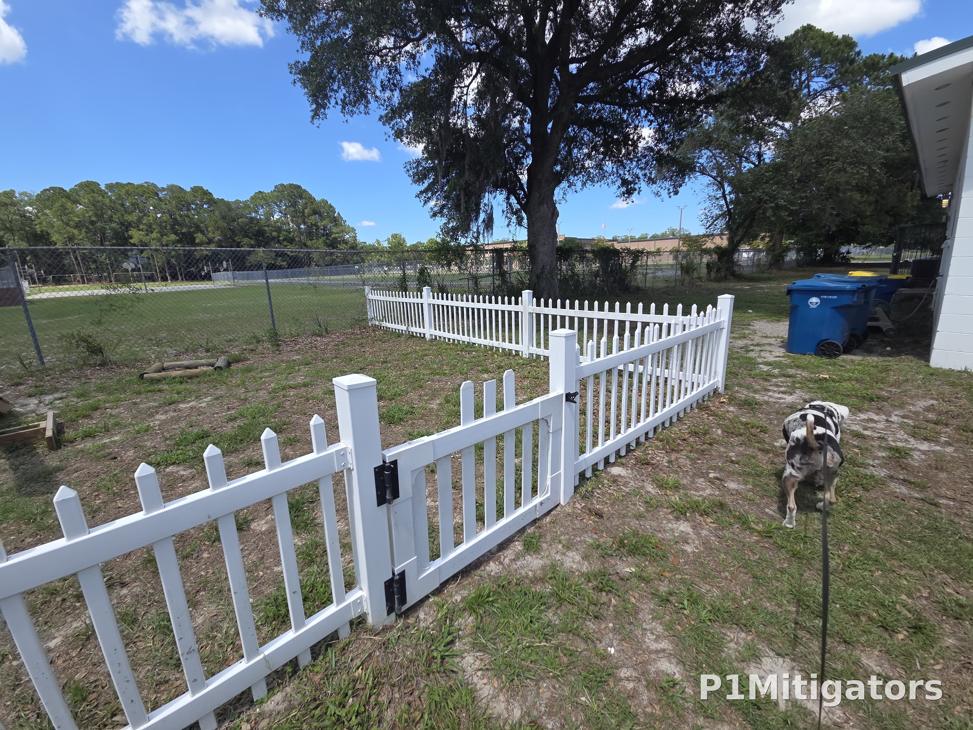 Picket Fencing fencing by P1Mitigators