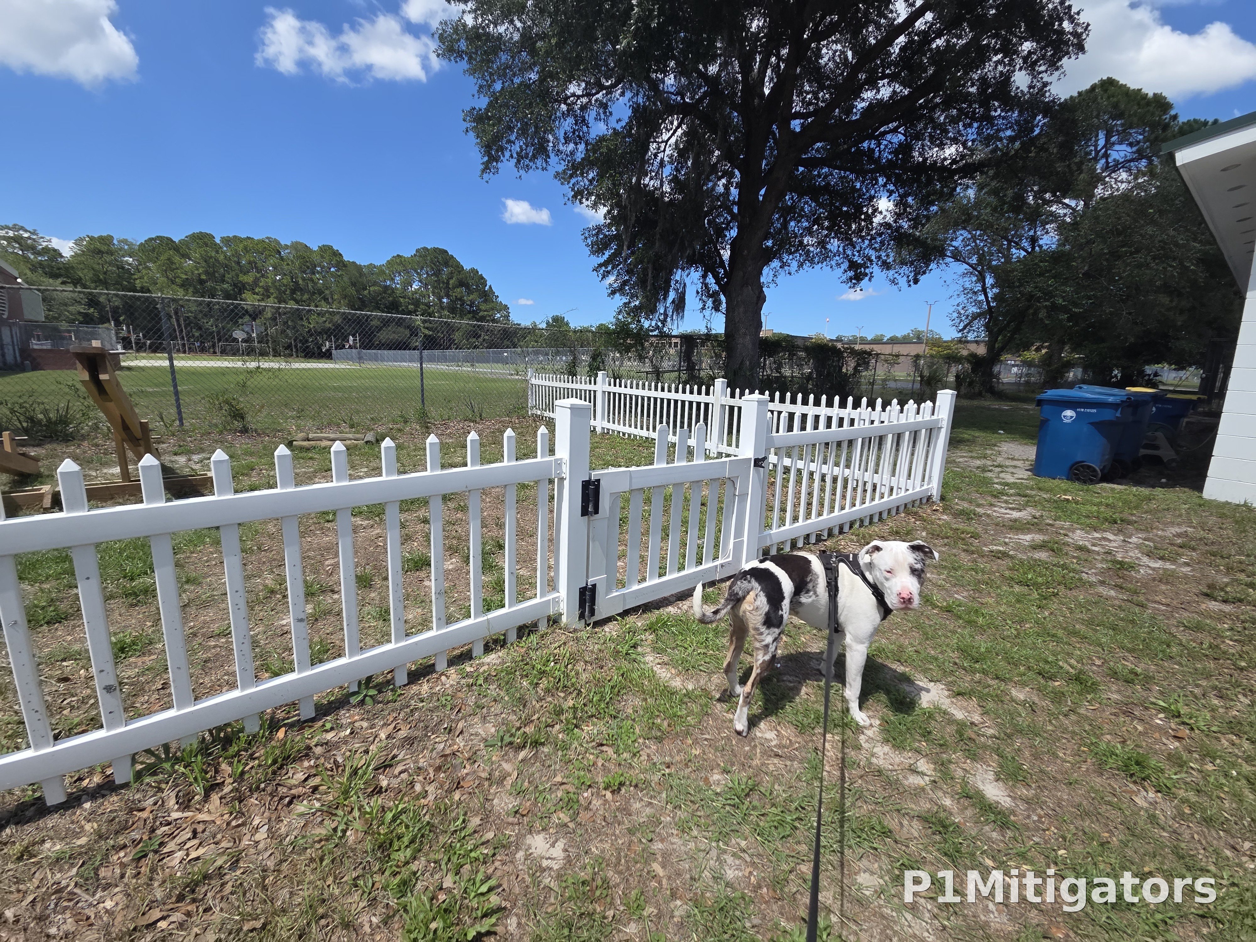 Picket Fencing project photo 4 by P1Mitigators Jacksonville FL