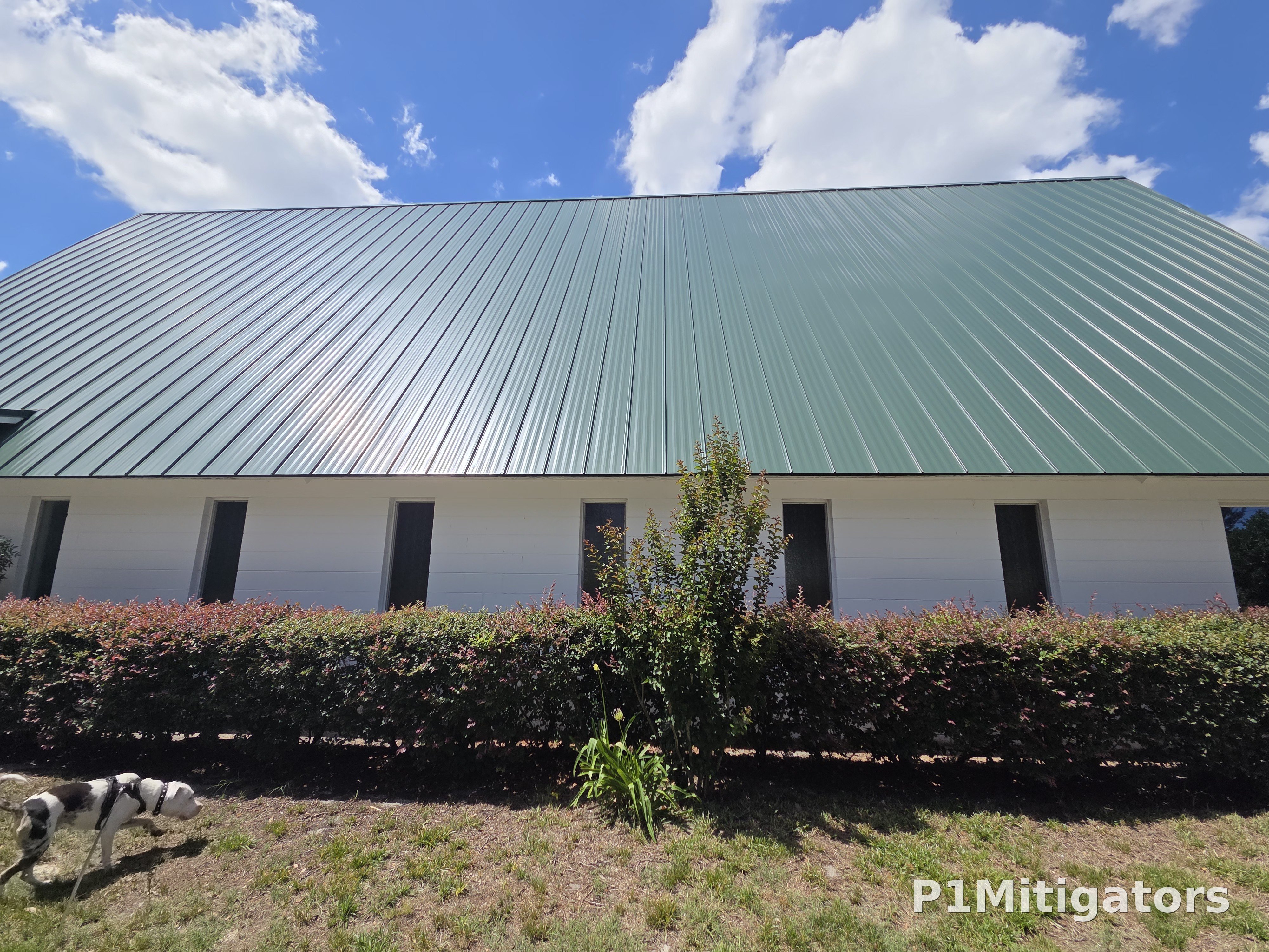 Roofing Repairs / Re-Roof project photo 17