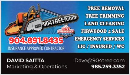 Hazardous Tree Removal project photo 7