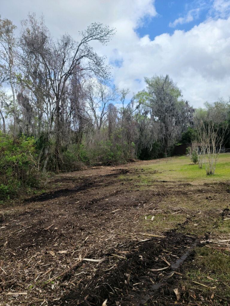 Wide open field prepared by Legacy Land Management land clearing