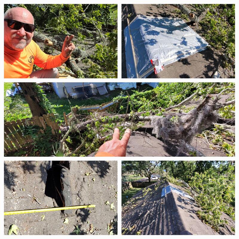 Storm damage — tree on roof with temporary tarp, hole in shingles, debris across property