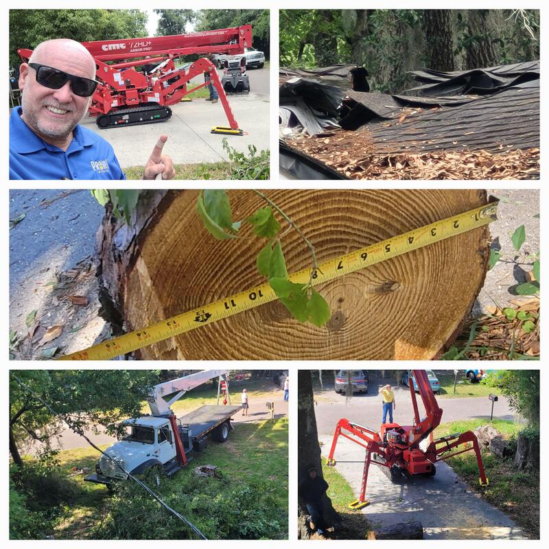Emergency tarp covering roof damage from fallen tree