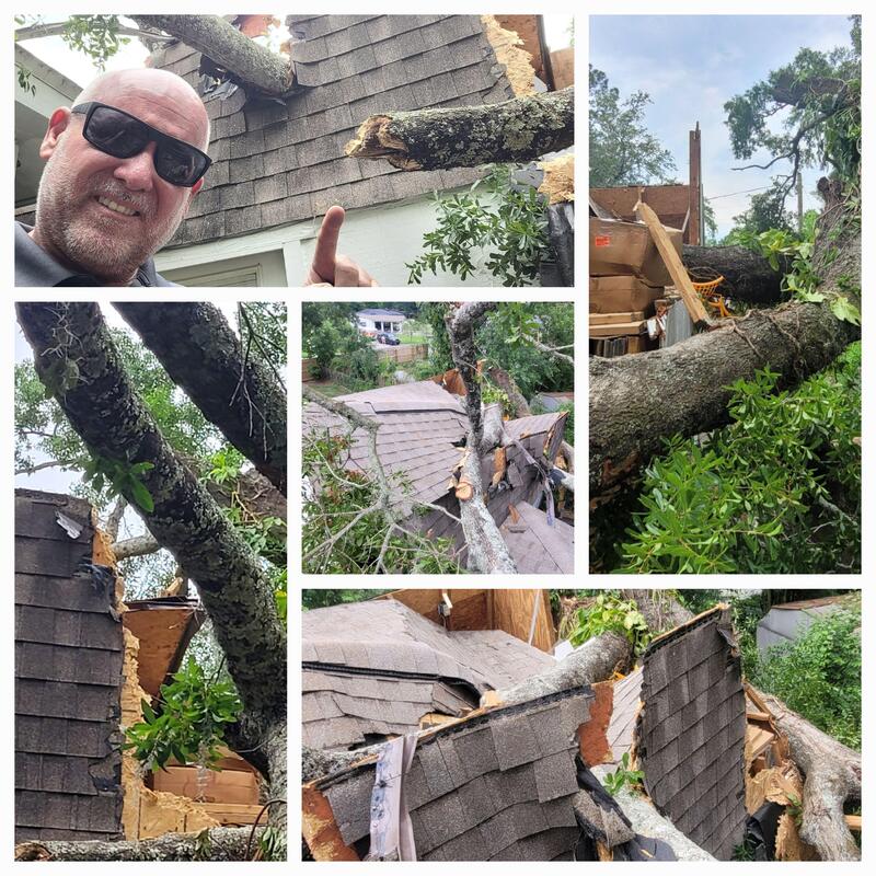 Massive tree fallen across roof — branch removal in progress